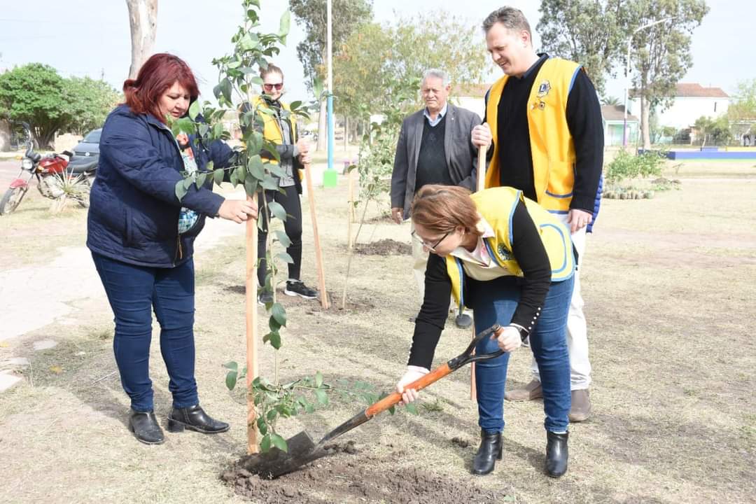 EL MUNICIPIO PLANTÓ ÁRBOLES EN LA PLAZA 20 DE JUNIO