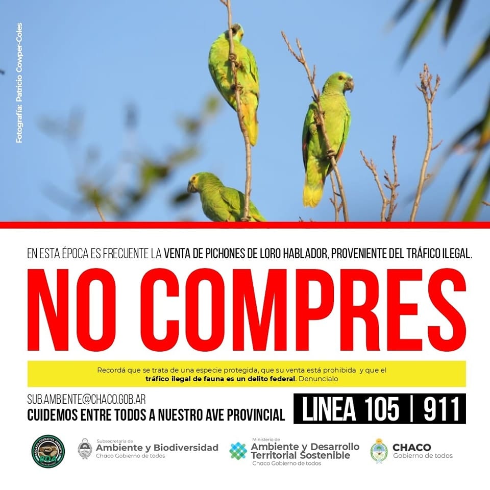 Desde el Ministerio de Ambiente y Desarrollo Territorial Sostenible se intensifican los trabajos de fortalecimiento de áreas naturales protegidas, con financiación, personal e infraestructura pertinentes para la protección de los