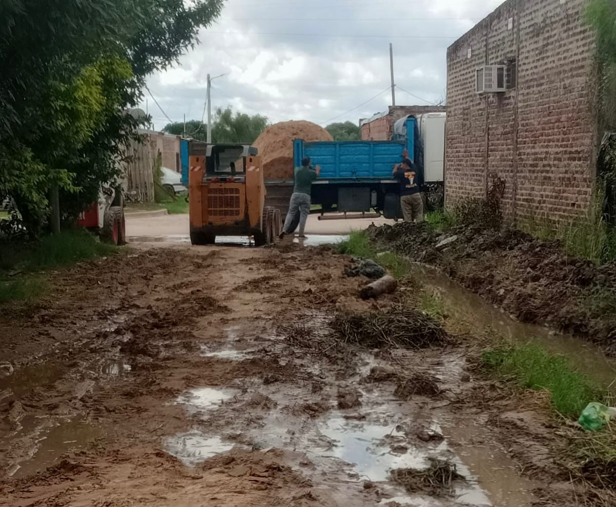 *L&Iacute;NEA 108: TRABAJO ARTICULADO Y ASISTENCIA INTEGRAL A LOS ADULTOS MAYORES EN SITUACI&Oacute;N DE VULNERABILIDAD*