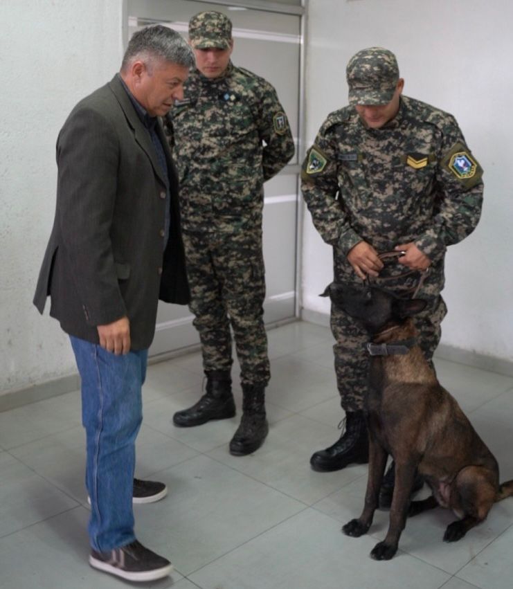 *EL GOBIERNO PROVINCIAL ENVIÓ UN EQUIPO A COLABORAR CON LA BÚSQUEDA DE LOAN EN CORRIENTES*