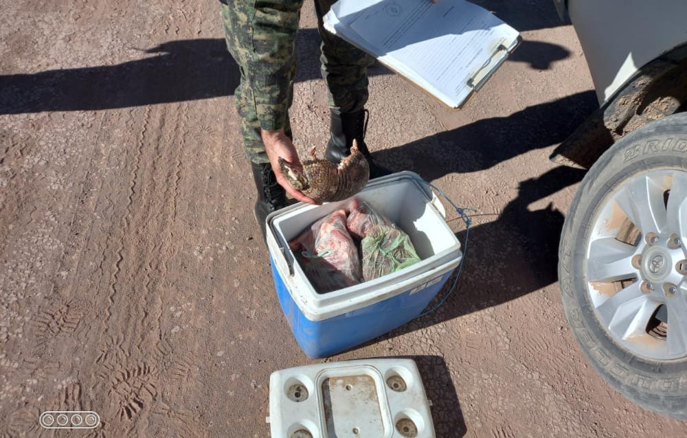 LA BRIGADA OPERATIVA AMBIENTAL IMPIDIÓ EL TRASLADO ILEGAL DE ANIMALES Y MADERA EN TACO POZO