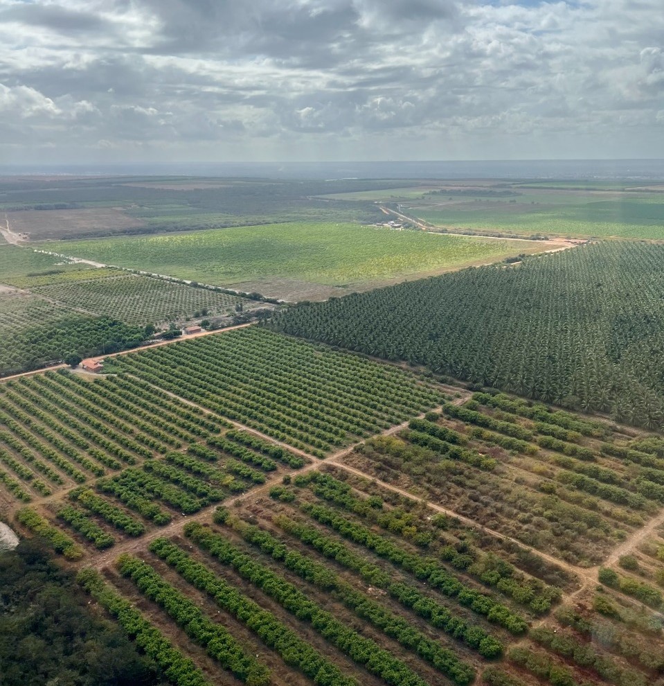 *CON GESTIONES DESDE BRASIL, EL GOBIERNO DEFINE EL DESARROLLO DEL PROYECTO INMOBILIARIO COSTA NORTE ECODISTRITO EN RESISTENCIA*