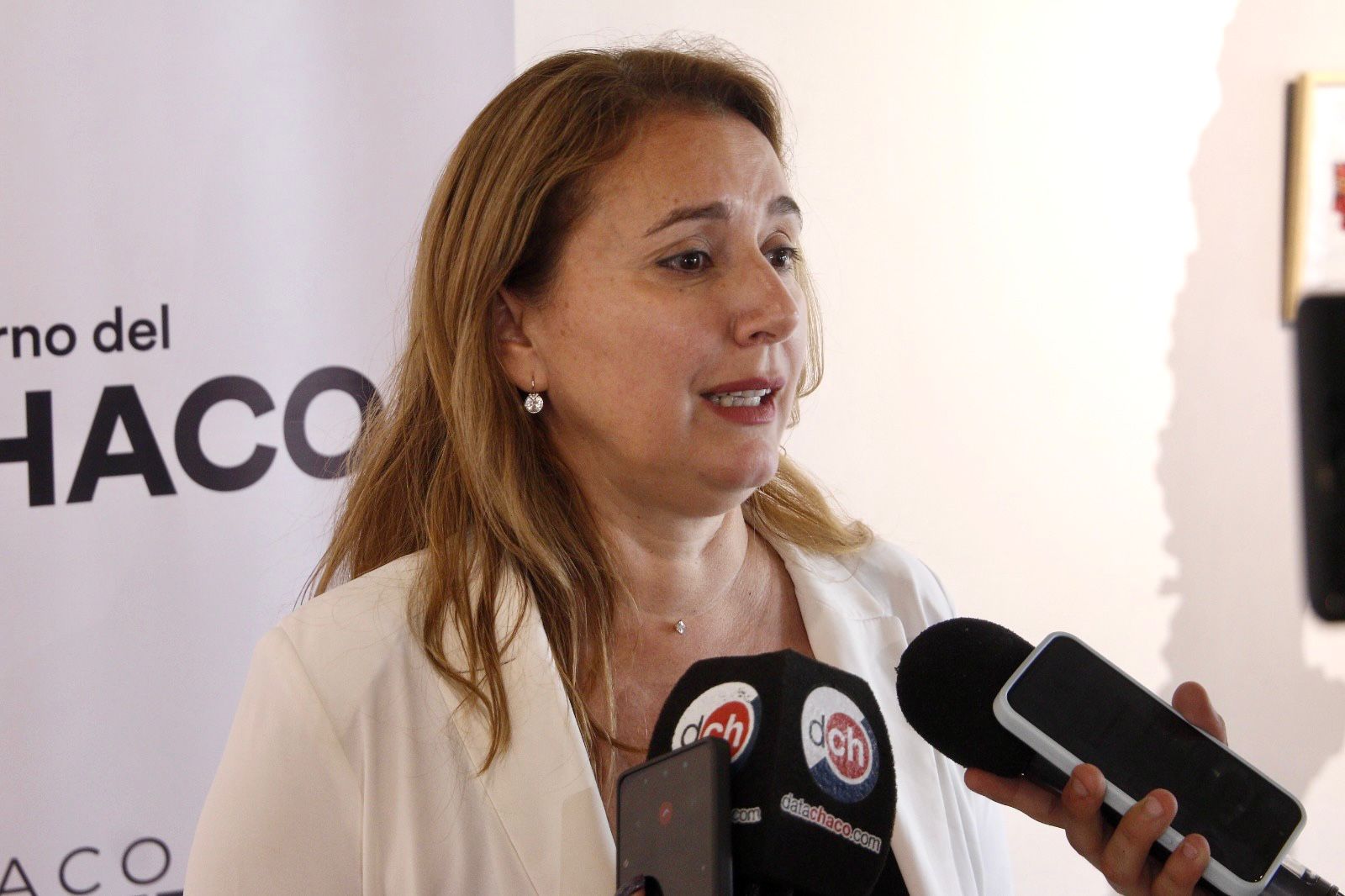 *SE ANUNCIÓ UNA IMPORTANTE AGENDA MUSICAL PARA EL INICIO DEL 2025: MARCO ANTONIO SOLÍS, ABEL PINTOS Y AXEL EN RESISTENCIA*