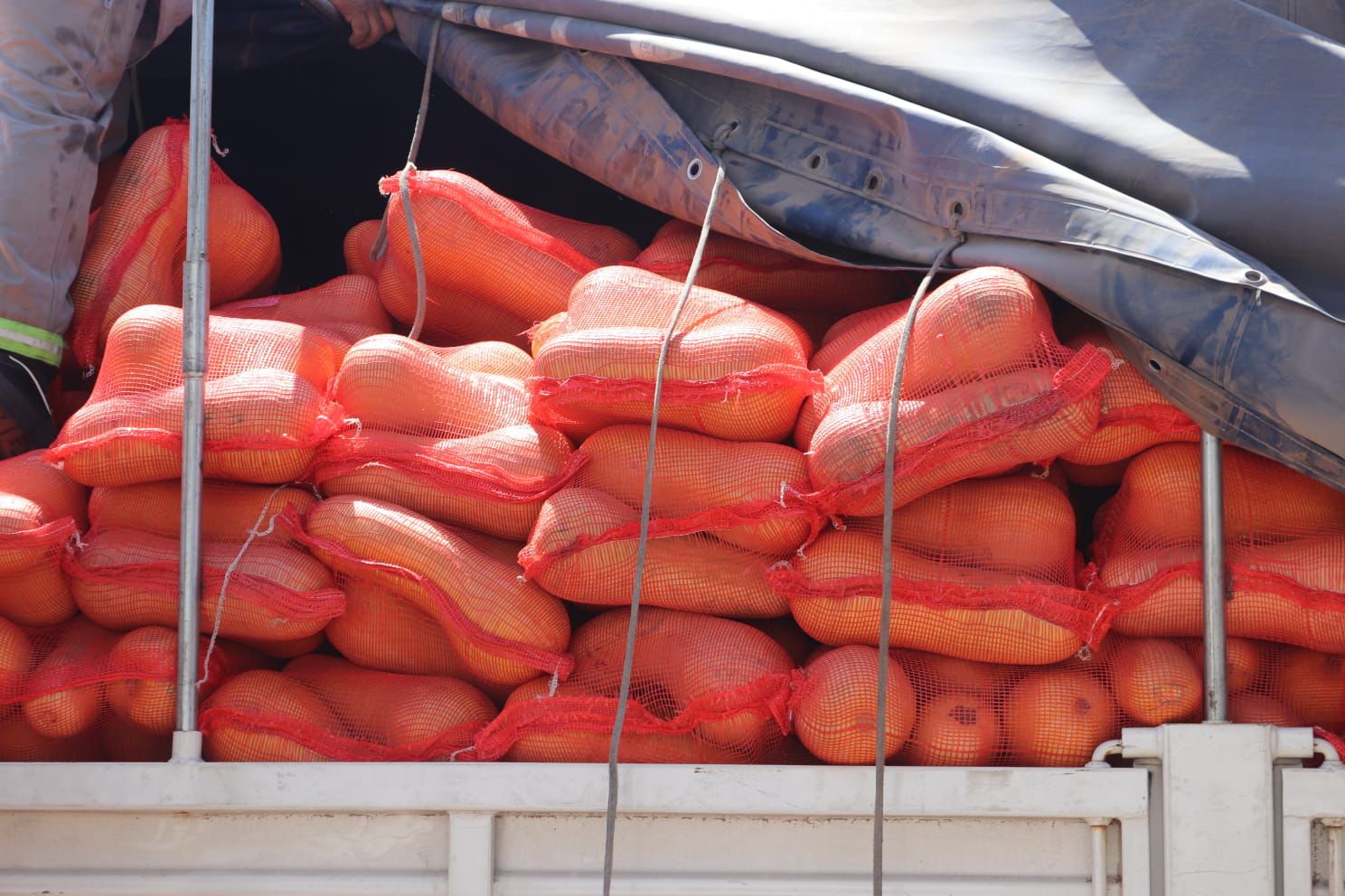 *HISTÓRICO: EL PUERTO DE BARRANQUERAS ENVÍA A URUGUAY SU PRIMERA CARGA DE ZAPALLO CHAQUEÑO*